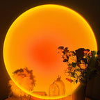Warm sunset light over plants