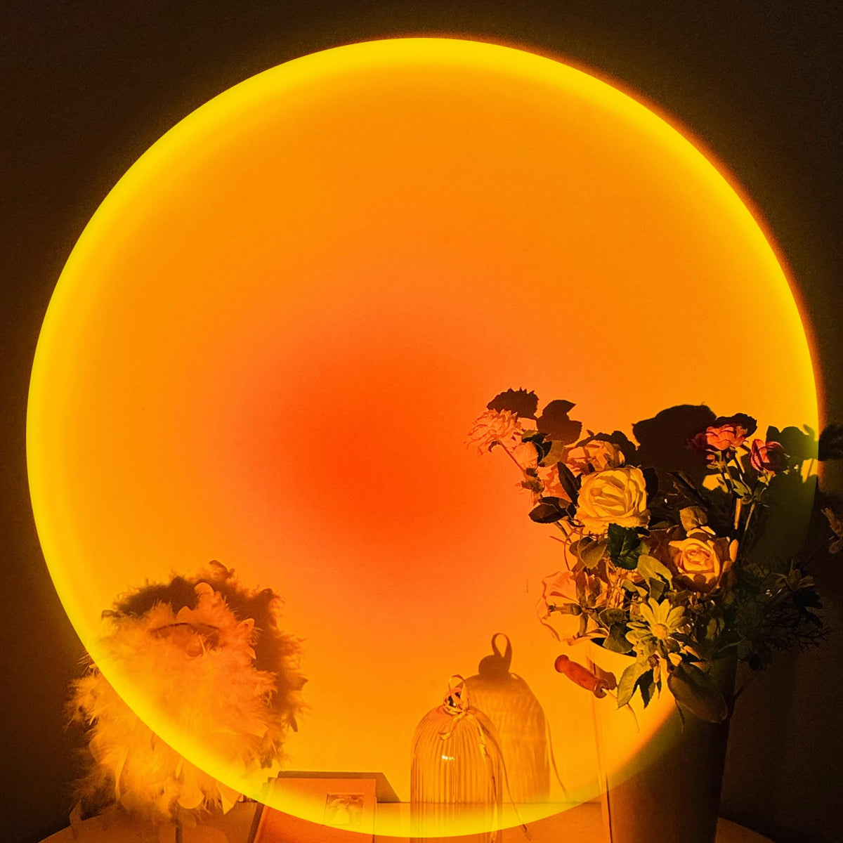 Warm sunset light over plants