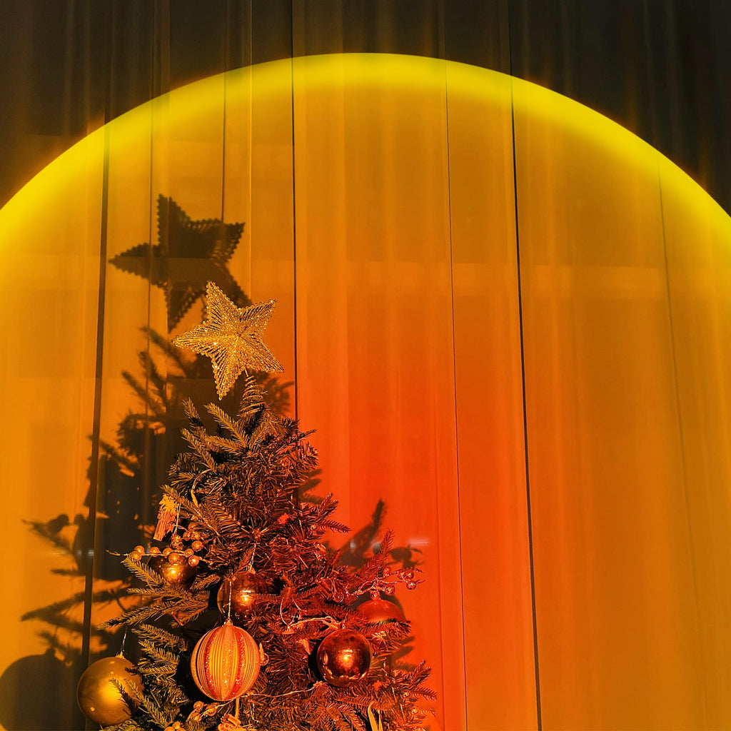 Sunset glow behind a Christmas tree