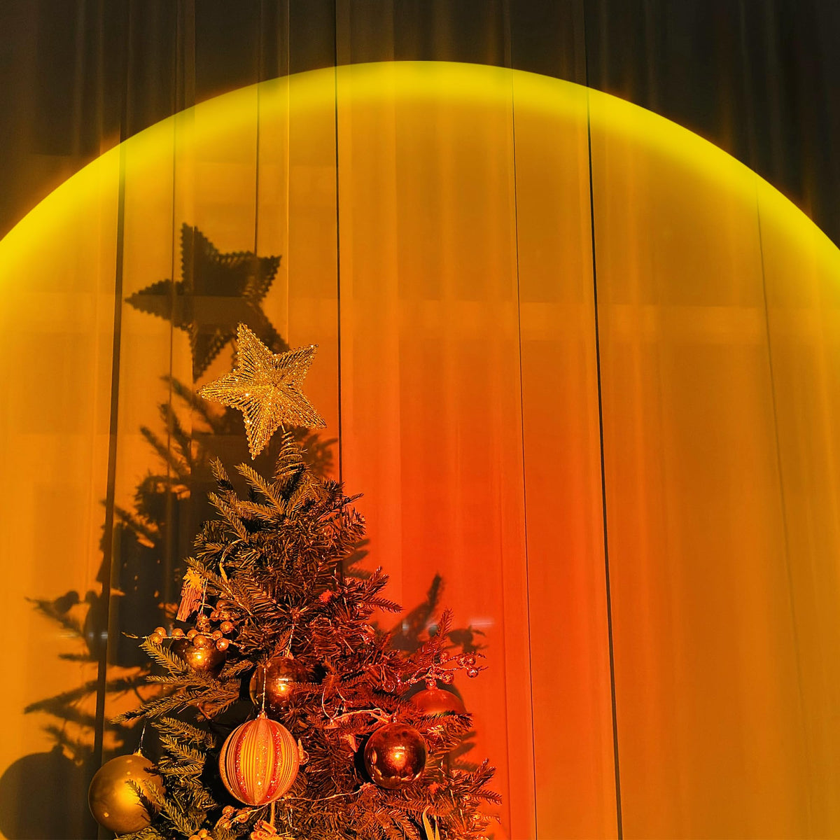 Sunset glow behind a Christmas tree