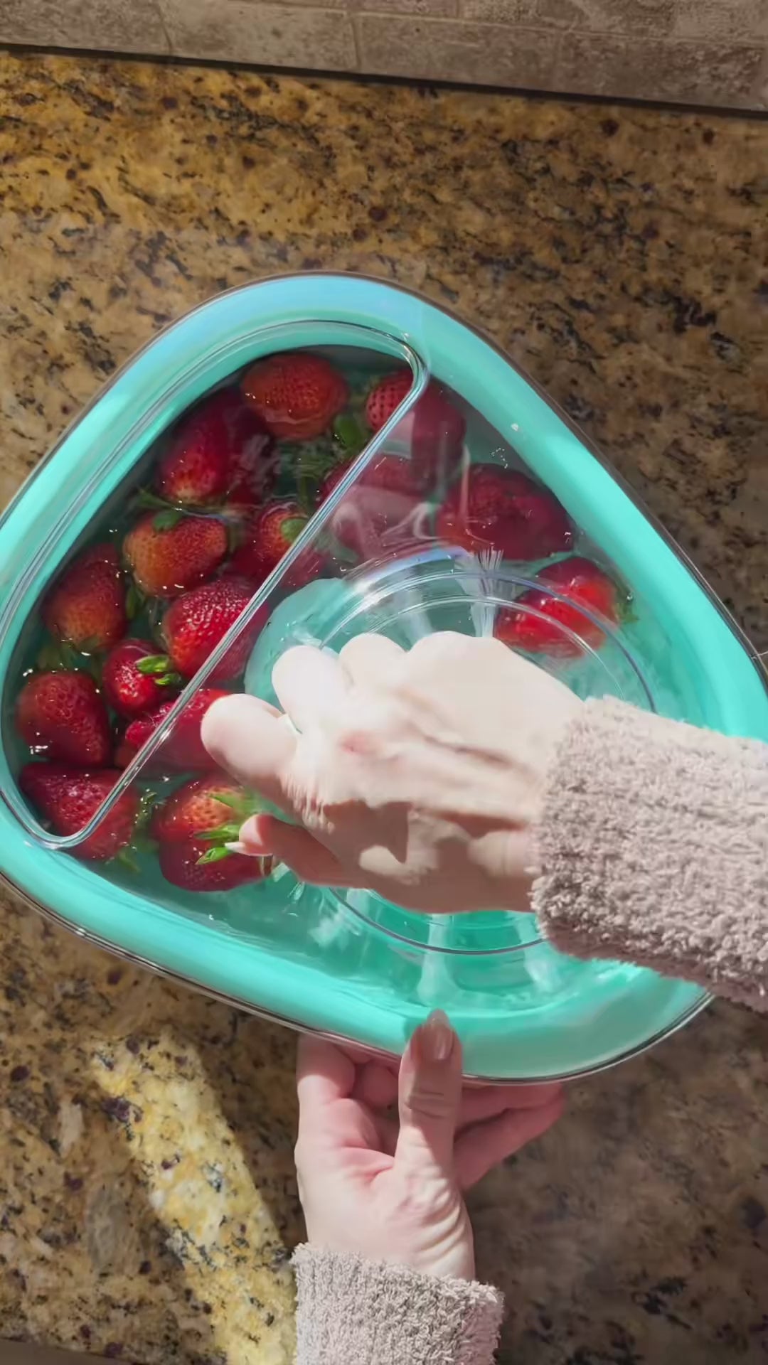 fruit-washer-spinner demo