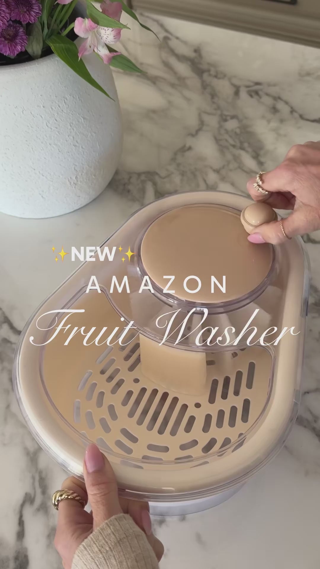 fruit-washer-spinner demo