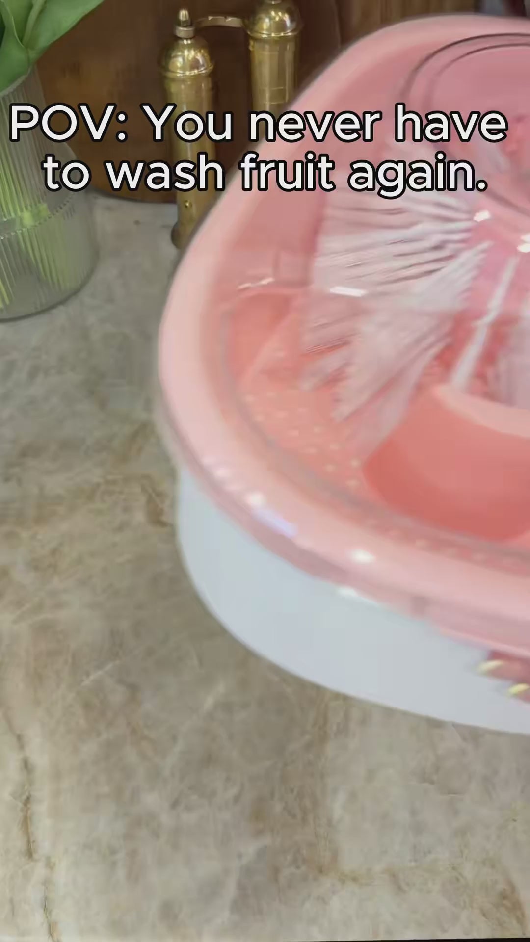 fruit-washer-spinner demo