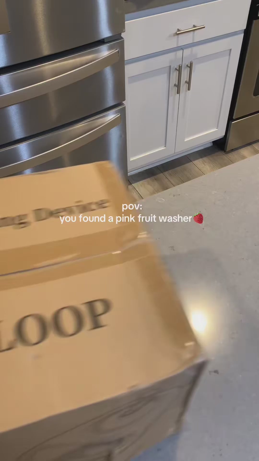 fruit-washer-spinner demo